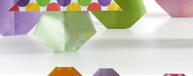 Bunte Pilze