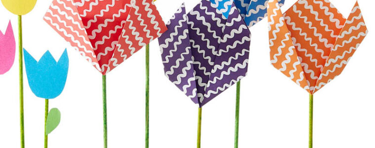 Falttulpen
