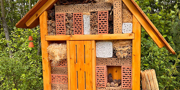 Insektenhotel